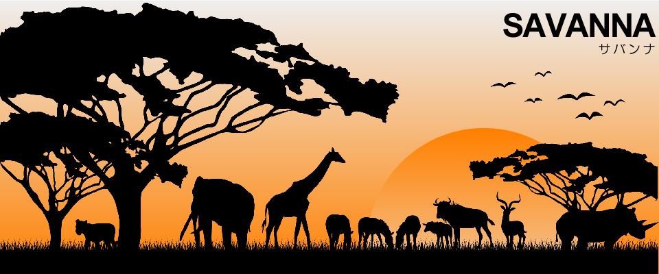 おりとみサバンナシリーズ